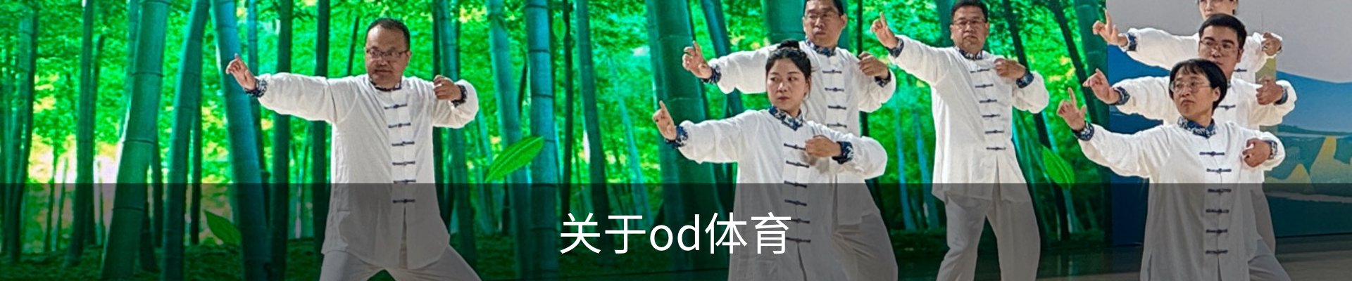 关于od体育