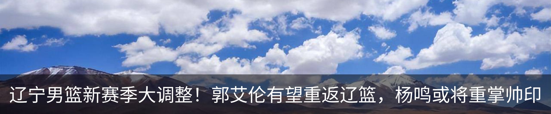 最新动态