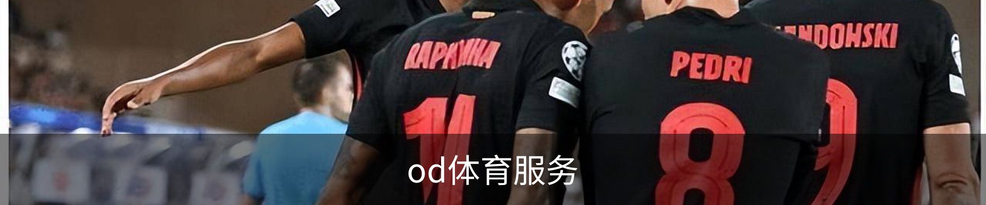 od体育服务